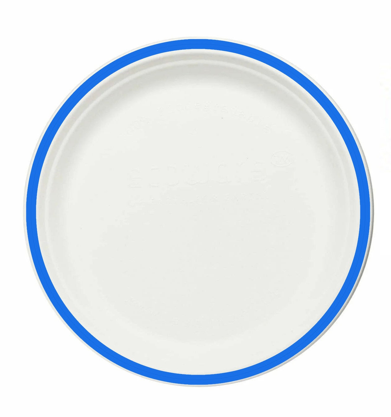 Taarey 10 inch round eco-friendly disposable dinner plate