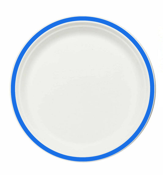 Taarey 10 inch round eco-friendly disposable dinner plate