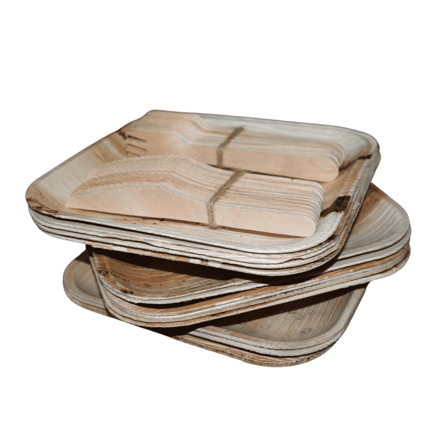Areca 8 inch square eco-friendly disposable plate