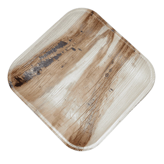 Areca 8 inch square eco-friendly disposable plate