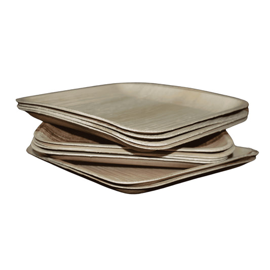 Areca 10 inch square plate made from natural palm leaf