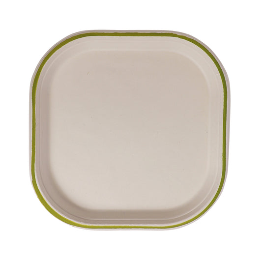 Taarey 10 inch square eco-friendly disposable dinner plate