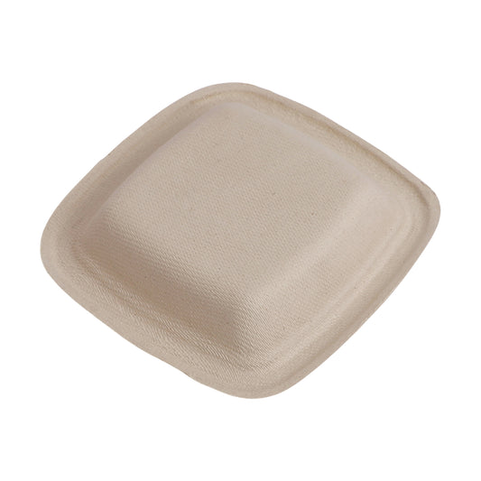 Mini plate made from compostable sugarcane bagasse