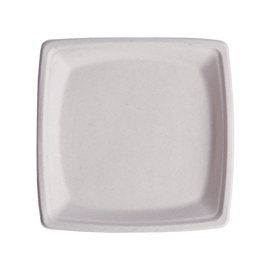 Square Plate 8 inch Deep