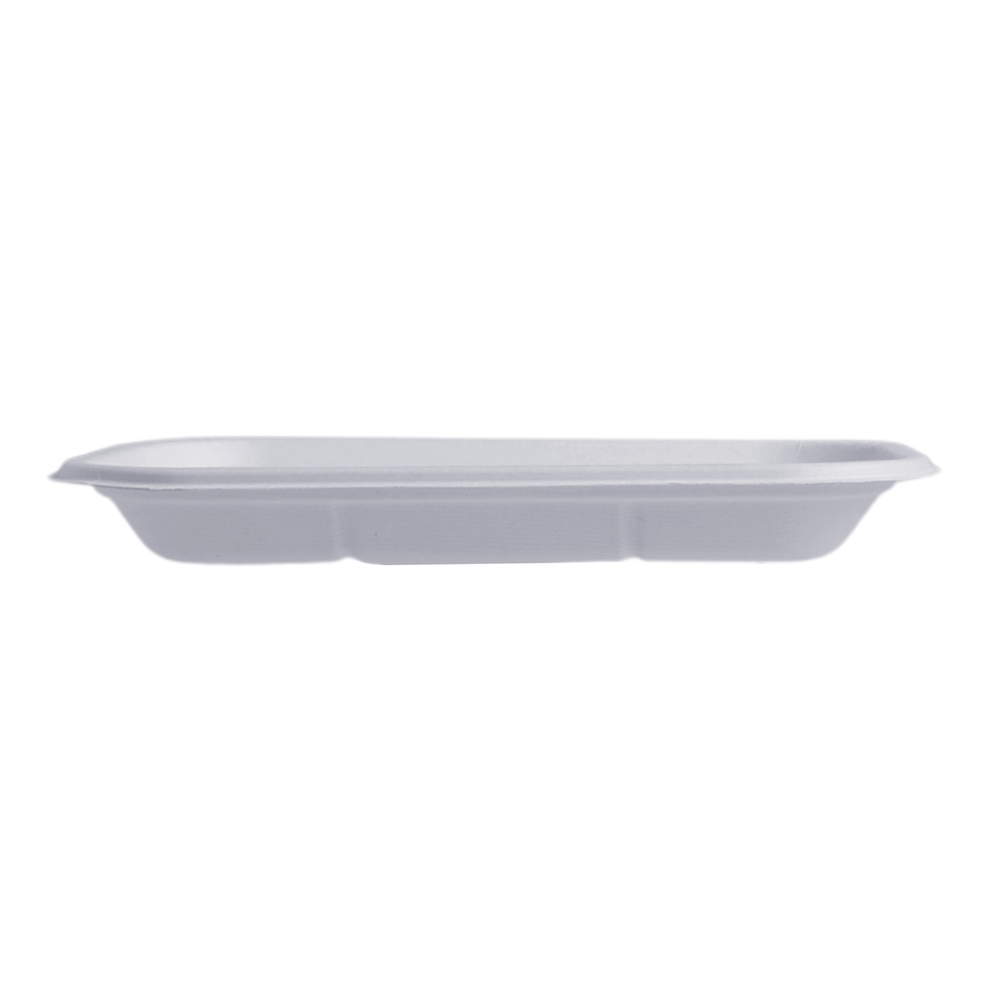 Rectangular Snack Plate