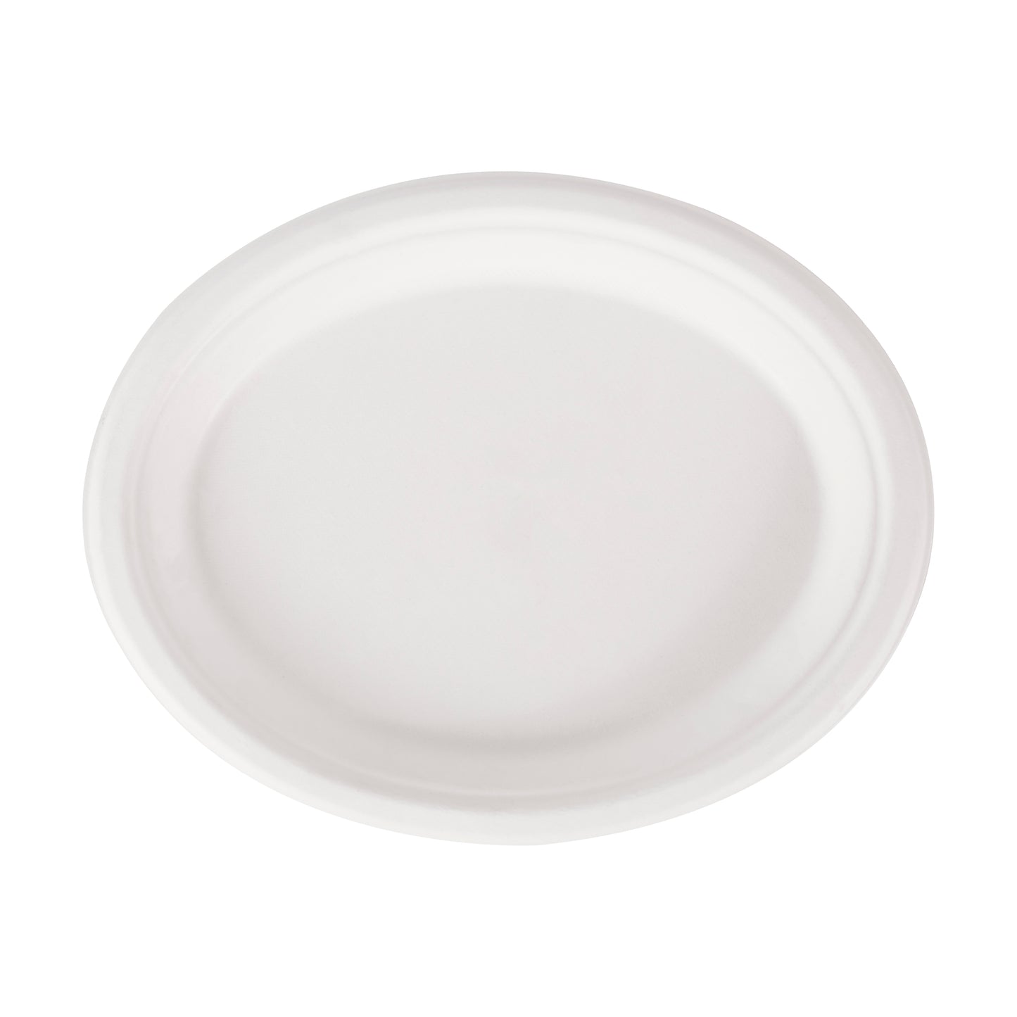 Oval Plate 10 inch