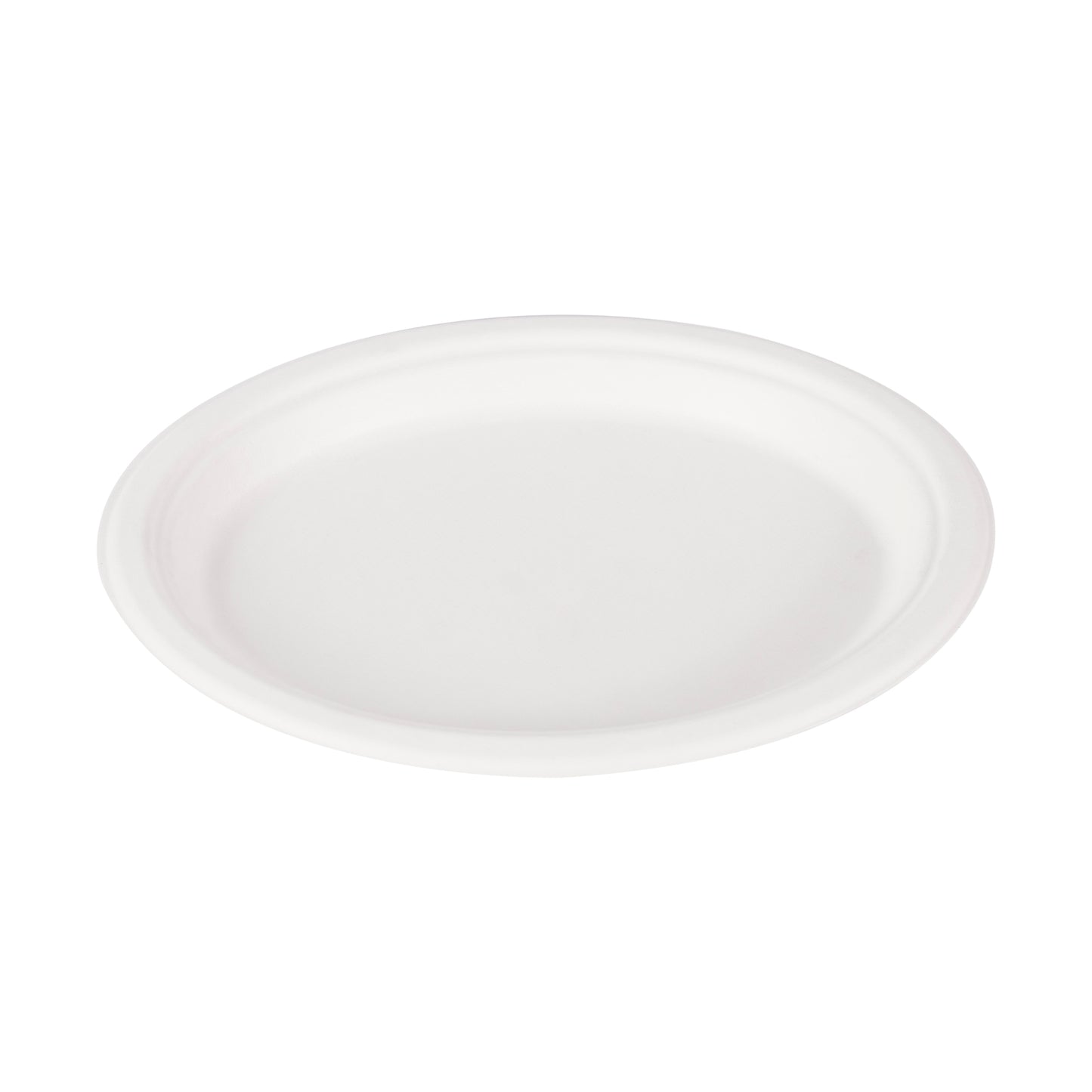 Oval Plate 10 inch
