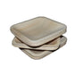 Areca 6 inch Square Plate