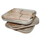 Areca 10 inch Square Plate