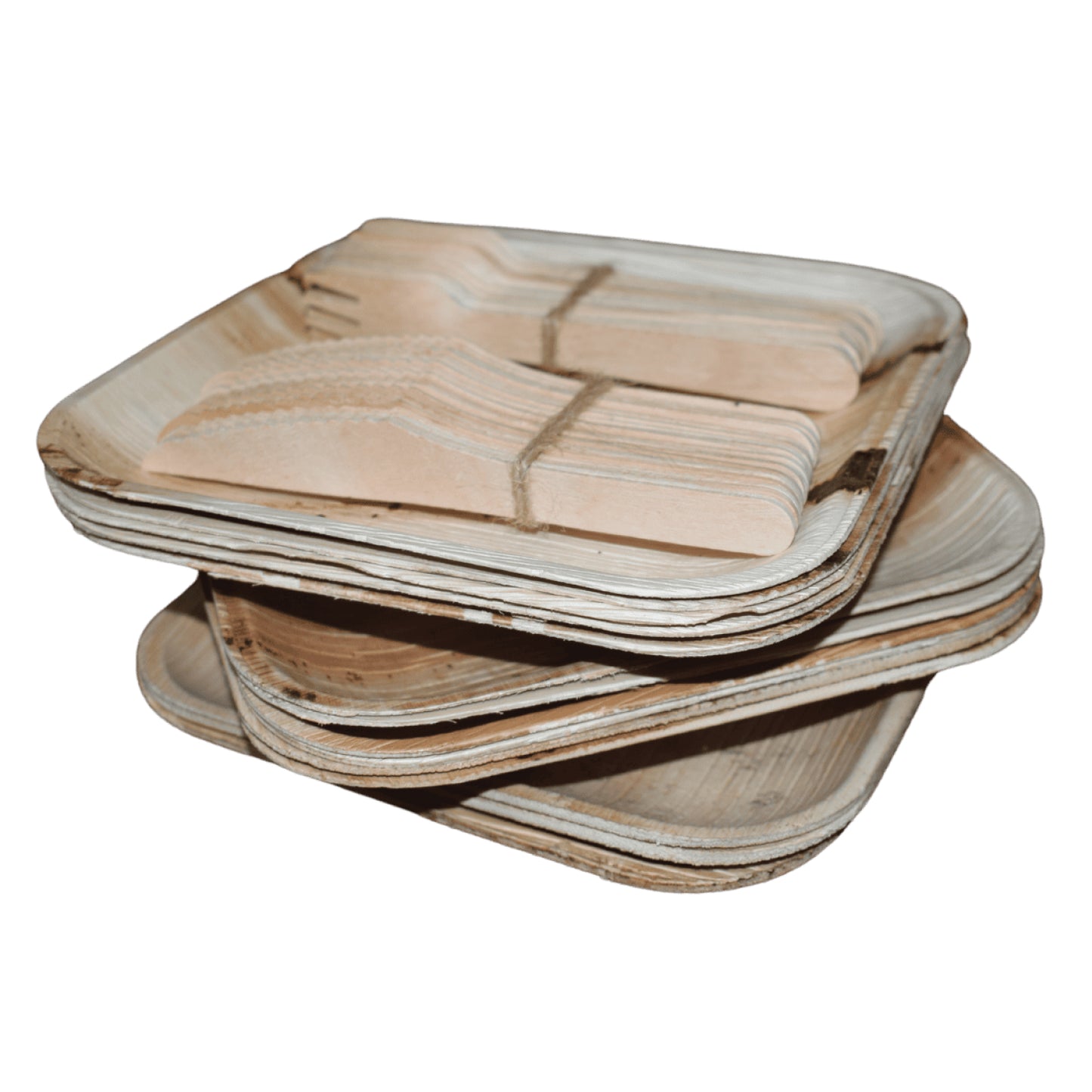 Areca 10 inch Square Plate