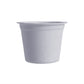 55ml disposable cup for espresso, tasting, or sauces