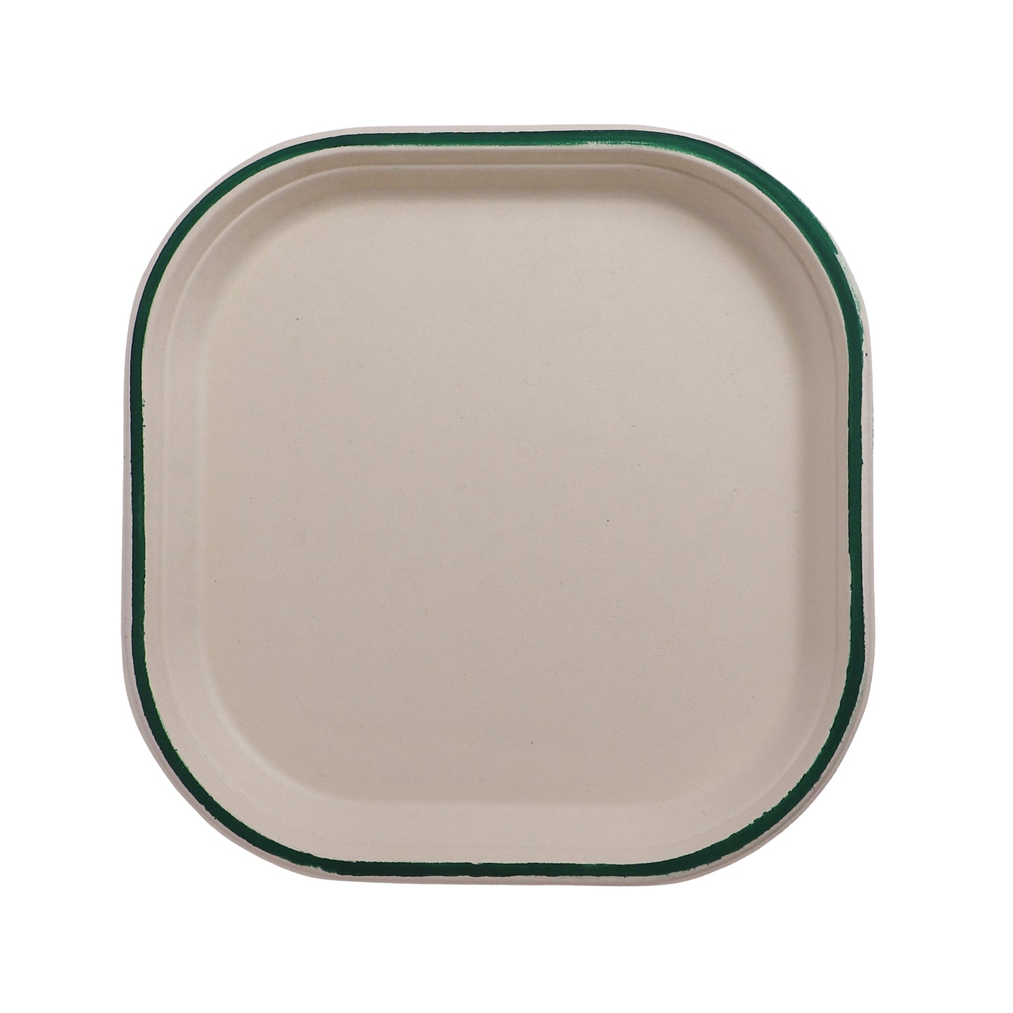 Taarey 10 inch square eco-friendly disposable dinner plate