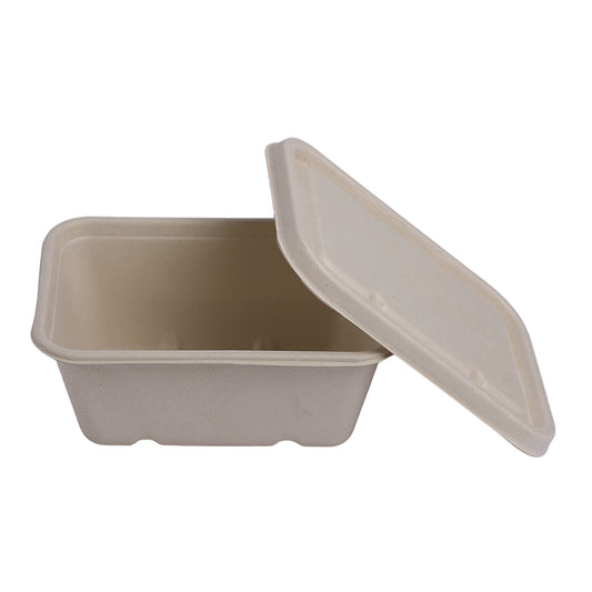 Block Container 1,000 ml with Lid