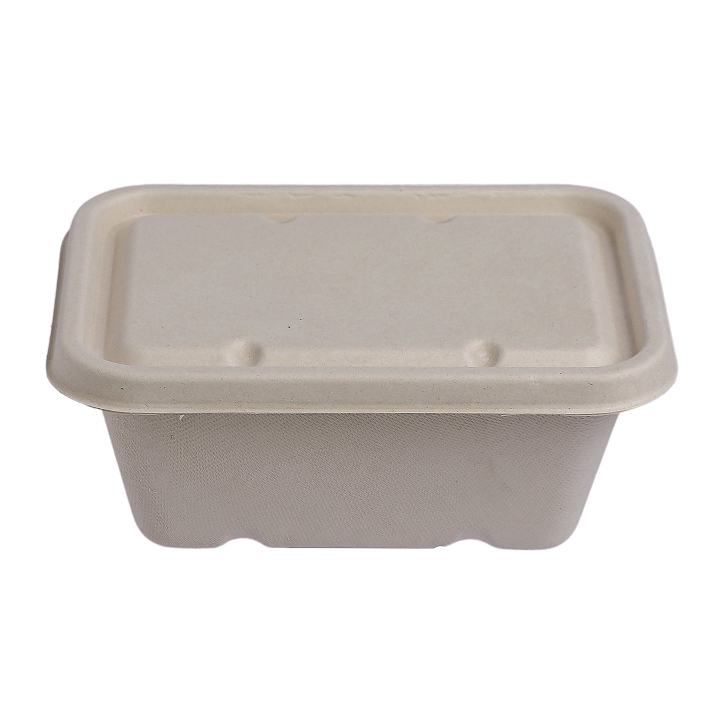 Block Container 1,000 ml with Lid