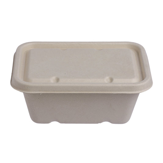 Block Container 1,000 ml with Lid