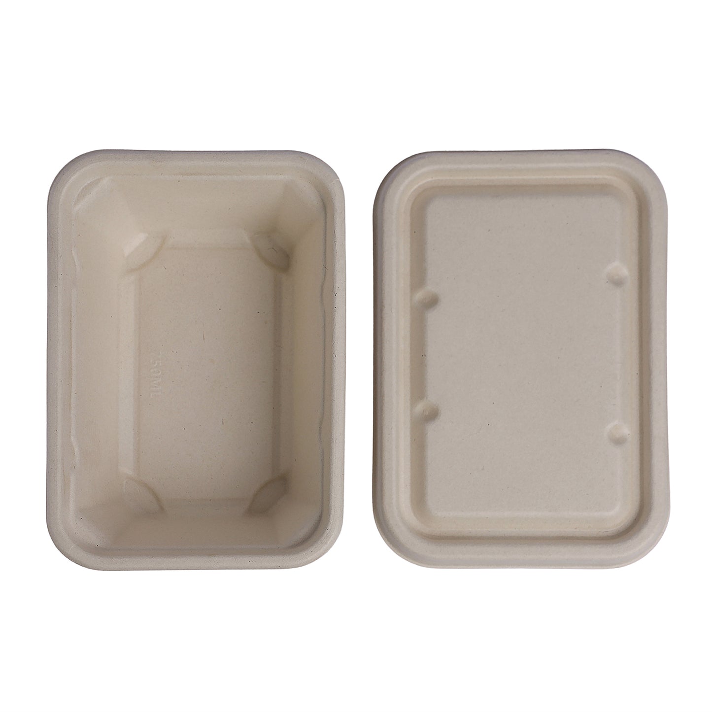 Block Container 750 ml with Lid