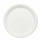 10 inch Round Plate