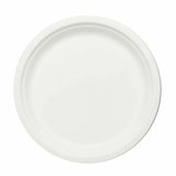 9 inch Round Plate