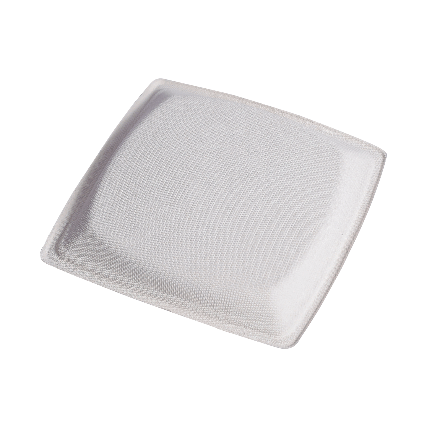 Square Plate 8 inch Deep